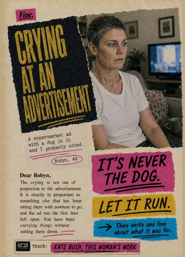 Fine. card 14, Crying At An Advertisement